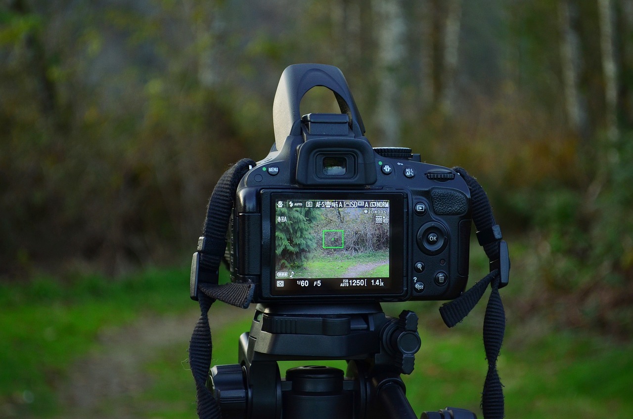 Best Online Videography Training Programme